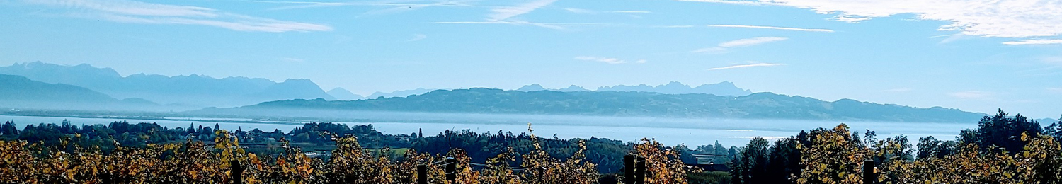 blue_sky_over_the_lake_constance